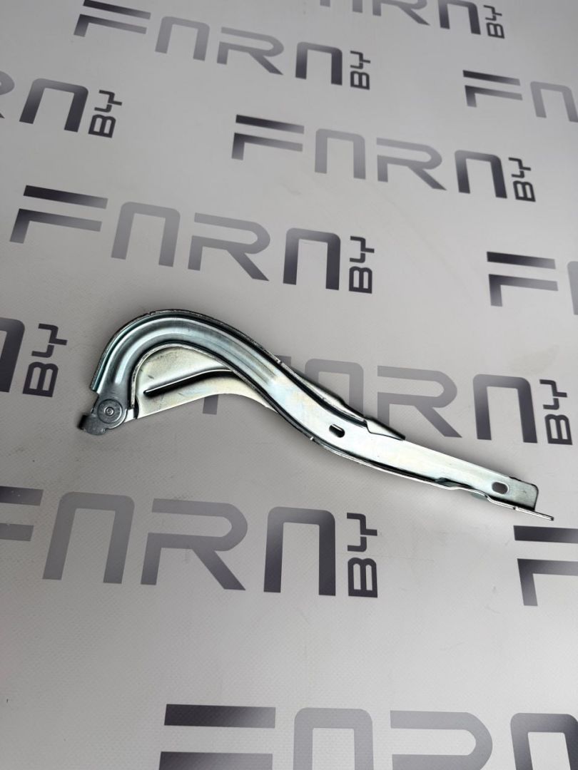 петля капота BYD Dolphin 1 поколение 2024, EM2E-8402619 - фото №1