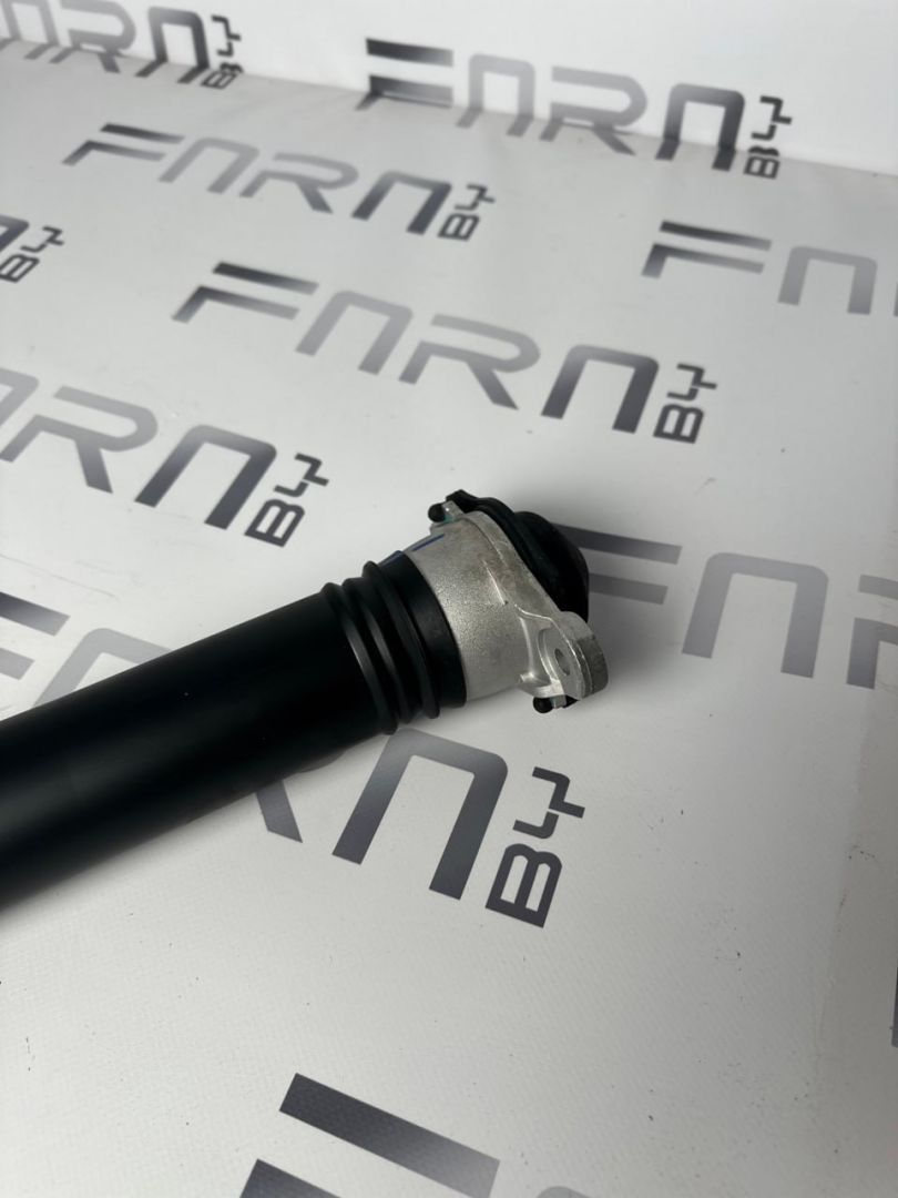 амортизатор задний BYD Dolphin 1 поколение 2024, EM2E-2915030C-D1 - фото №1