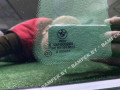 стекло кузовное боковое правое BMW 6 серия F06/F12/F13 2011, 51377219889, 51377219890 - фото №6