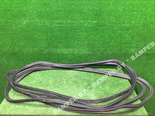 уплотнитель двери BMW 5 серия G30/G31 2018, 2.0 л., бензин, АКПП, седан, 7337000, 7381326