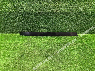 молдинг двери задней правой BMW X5 G05 2019, 51357429394