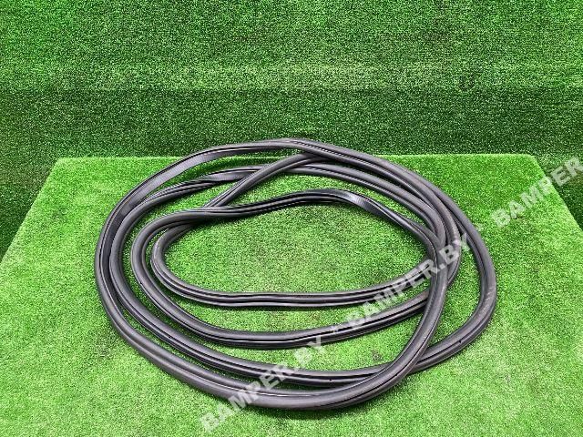 уплотнитель двери BMW X5 G05 2019, 51769465543, 7428696 - фото №1