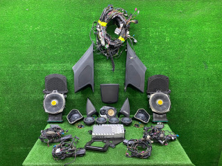 комплект акустики BMW X3 G01 2018, 2.0 л., B48 B20 A, бензин, АКПП, внедорожник 5 дв., 65126995393, 65136811959