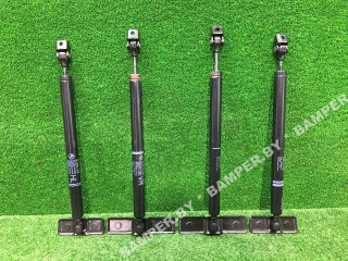 ограничитель открывания двери BMW 7 серия F01/F02 [рестайлинг] 2014, 5.0 л., бензин, АКПП, седан, 7191285717761671776157191286