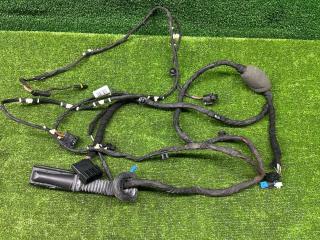 дверная проводка BMW X5 G05 2020, 3.0 л., B58B30, бензин, АКПП, a96, внедорожник 5 дв., 8779790, 8779790, E64478, BJ4RP02C34