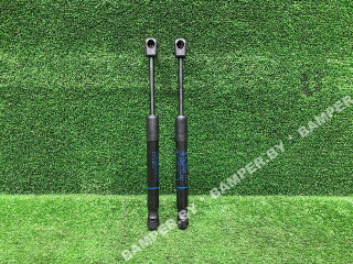 амортизатор капота BMW X5 G05 2023, 51237418188, 7418188