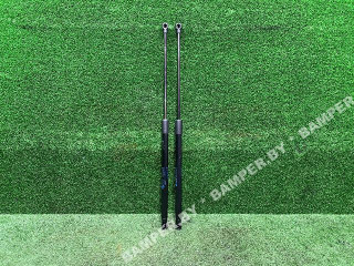 амортизатор крышки багажника (3-5 двери) BMW 6 серия F06/F12/F13 2011, 51247228501