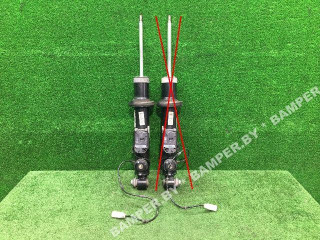 амортизатор задний BMW 6 серия F06/F12/F13 2013, 4.4 л., бензин, АКПП, купе, 6796190, 6857697
