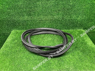 уплотнитель двери BMW 5 серия G30/G31 [рестайлинг] G30 2023, 2.0 л., B46 B20 B, бензин, skyscraper grau metallic (c4w), 51727468732