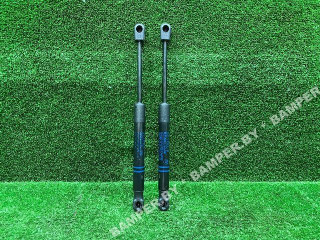 амортизатор капота BMW X3 G01 2019, 51237397493