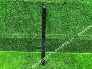 амортизатор крышки багажника (3-5 двери) BMW X3 G01 2019, 51247497482, 51242654885