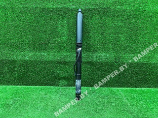 амортизатор крышки багажника (3-5 двери) BMW X3 G01 [рестайлинг] 2024, 9482795, 51249482795