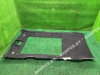 потолок BMW X5 G05 2019, 51448745775