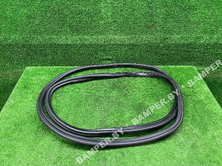 уплотнитель двери BMW X3 G01 2019, 51767494945, 7397317