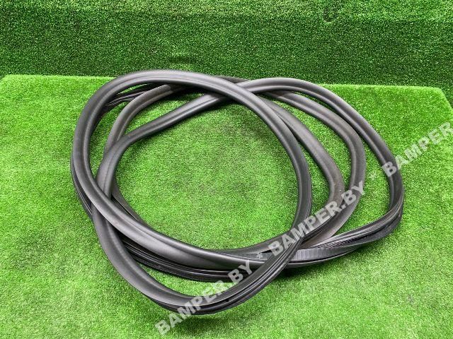 уплотнитель двери BMW 5 серия G30/G31 2017, 7381326, 51727468732 - фото №1