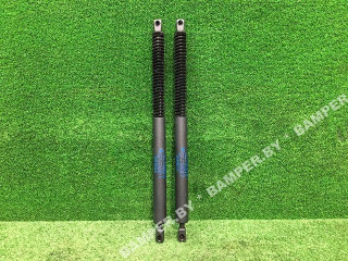 амортизатор крышки багажника (3-5 двери) BMW 6 серия F06/F12/F13 2013, 4.4 л., бензин, АКПП, купе, 7360583