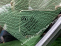 стекло кузовное боковое левое BMW X6 G06 2020, 51357446217, 51357446218, 51377446219 - фото №22