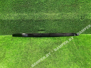 молдинг двери задней левой BMW X5 G05 2019, 51357429391