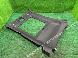 потолок BMW X6 G06 2021, 51448099816