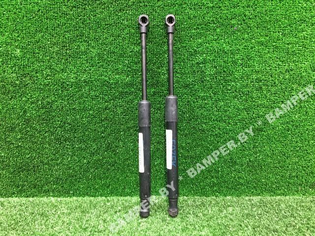 амортизатор капота BMW 5 серия F07/F10/F11 2009, 5.0 л., бензин, АКПП, хетчбэк 5 дв., 7200197 - фото №1