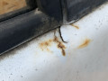 дверь передняя правая Ford Transit 4 поколение [рестайлинг] 1993, 2.5 л., дизель, МКПП, микроавтобус - фото №5