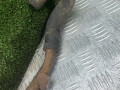 трубка охлаждающей жидкости Mercedes-Benz T1 207-210D W601 1993, 2.3 л., OM 601.940, дизель, МКПП, фургон - фото №7