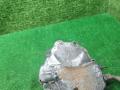 насос вакуумный Mercedes-Benz T1 207-210D W601 1993, 2.3 л., OM 601.940, дизель, МКПП, фургон - фото №3
