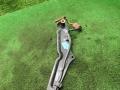педаль тормоза Citroen Xantia 1 поколение 1998, 1.9 л., D, дизель, МКПП, хетчбэк 5 дв. - фото №6