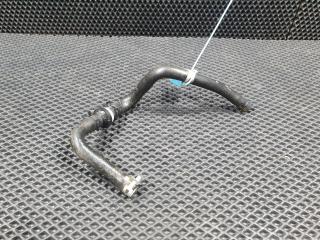 трубка вакуумная Kia K5 3 поколение 2020, 1.6 л., G4FP, бензин, АКПП, 59130-L1100