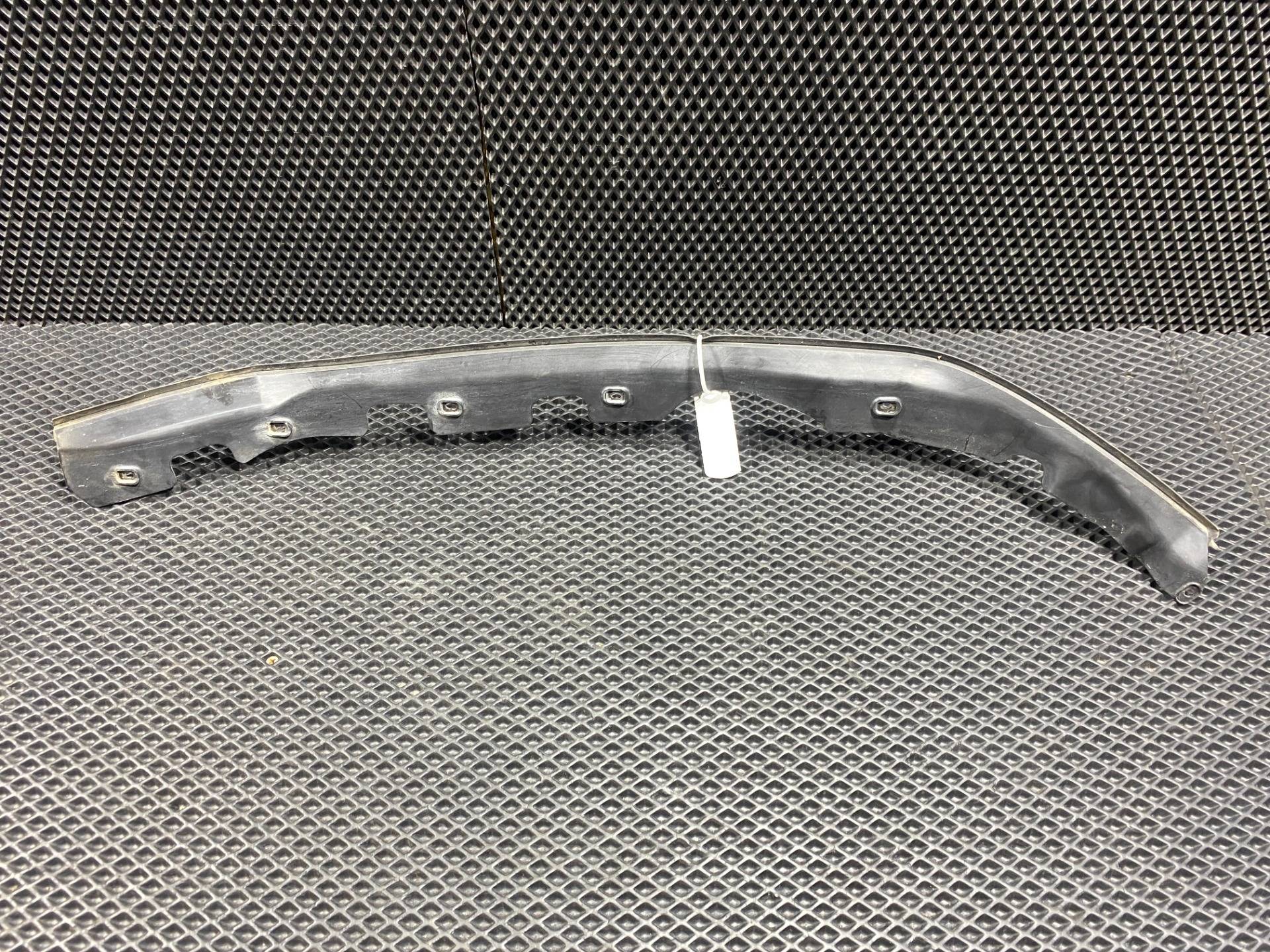 Уплотнитель двери передней правой BMW X5 F15 2018 OEM 51767389662