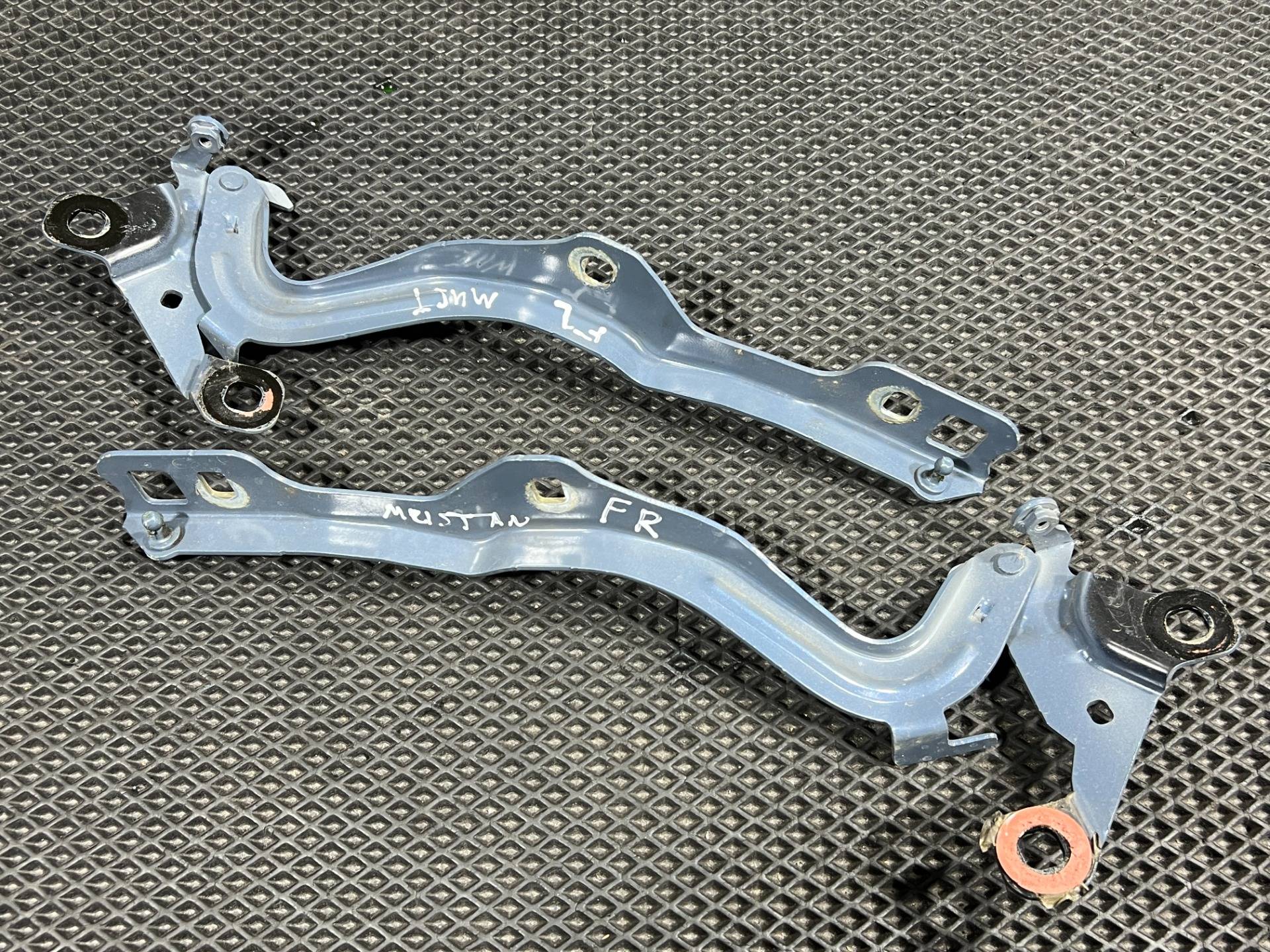 Петля капота Ford Mustang Mach-E 2023 OEM LJ8BR16801AD, LJ8BR16800AD