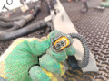проводка двигателя Sitrak C7H 1 2009, 10.5 л., D 2066, дизель, 812W254246345, 812W254586747 - фото №8