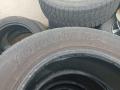 шина  - фото №5