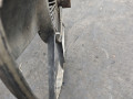 вискомуфта BMW 5 серия E39 1997, 2.5 л., TDS, дизель - фото №3