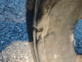 диск литой BMW X6 E71/E72 E71 2008, 3.0 л., дизель, АКПП, черный, внедорожник 5 дв., полный привод, правый руль - фото №7