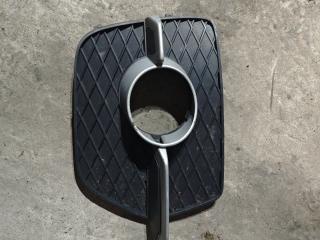 заглушка (решетка) в бампер BMW X6 E71/E72 E71 2008, 3.0 л., дизель, АКПП, черный, внедорожник 5 дв., полный привод, правый руль