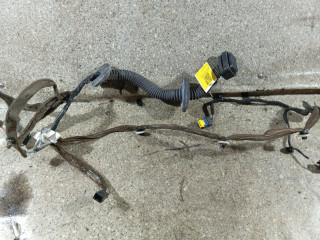 дверная проводка Renault Scenic 3 поколение (2009 - 2012)