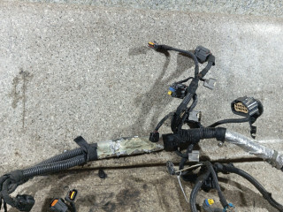 проводка двигателя Opel Vectra C [рестайлинг] (2005 - 2009), 3.0 л., CDTi, Z 30 DT, дизель, АКПП