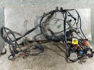 проводка двигателя Audi A6 4B/C5 [рестайлинг] (2001 - 2004), 2.5 л., TDi, BDG, дизель, вариатор, 4B1971072JJ