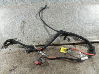 проводка двигателя Opel Zafira 2 поколение (B) [рестайлинг] (2008 - 2014), 1.9 л., Z 19 DT, дизель, МКПП, 55561062