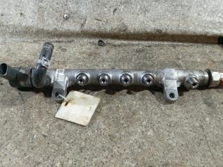 топливная рампа Volkswagen Tiguan 1 поколение (2007 - 2011), 2.0 л., TDi, CBAB, дизель, АКПП, 03L089G, 03L089C, 057130764H, 0281006003