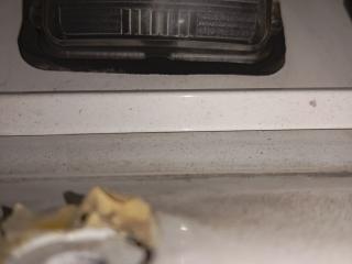 подсветка номера Toyota Verso 1 поколение [рестайлинг] (2012 - 2015)