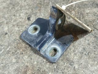 петля двери Volkswagen Passat B6 (2005 - 2010)