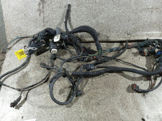 проводка двигателя Opel Omega B [рестайлинг] (1999 - 2003), 2.6 л., i, Y 26 SE, бензин, МКПП, 24462785