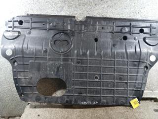 защита двигателя Hyundai Sonata NF (2005 - 2008), 2.0 л., CRDi, D4EA, дизель, АКПП