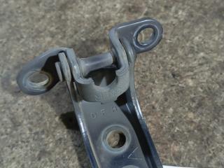 петля двери Honda FR-V 1 поколение (2004 - 2009)