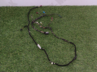 дверная проводка BMW X5 G05 [рестайлинг] G05 2024, 3.0 л., B58B30P, бензин, АКПП, a300, внедорожник 5 дв., полный привод, 61125A3631, 5A3631, 5A43619, 5A43625