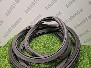 уплотнитель двери BMW X7 G07 2021, 3.0 л., B58B30C, бензин, АКПП, a96, внедорожник 5 дв., полный привод, 7431142, 51769465543, 9465543