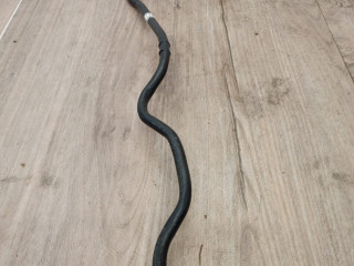 трубка вентиляции бака BMW X5 G05 [рестайлинг] G05 2024, 3.0 л., B58B30P, бензин, АКПП, a300, внедорожник 5 дв., полный привод, 16137471747, 7471747