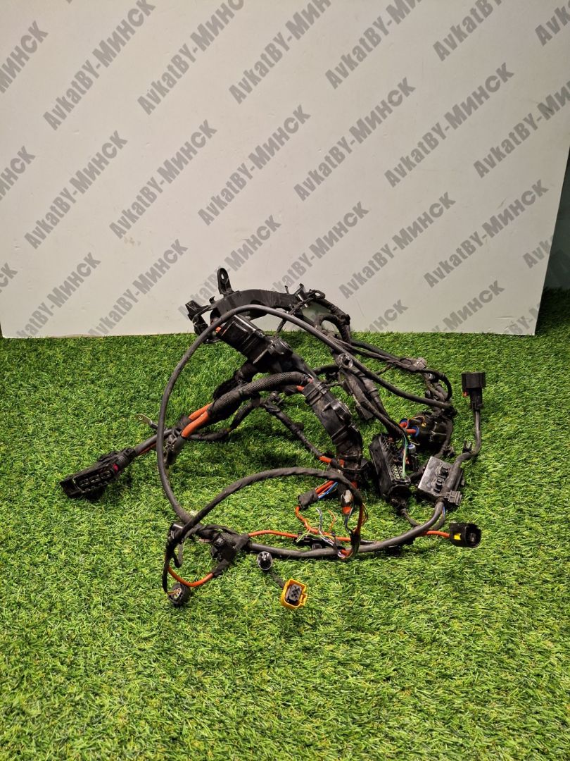 проводка BMW 5 серия G60/G61 2024, 2.0 л., b48b20s, бензин, АКПП, с4а, седан, полный привод, 61125B434F5, 5B434F5 - фото №1